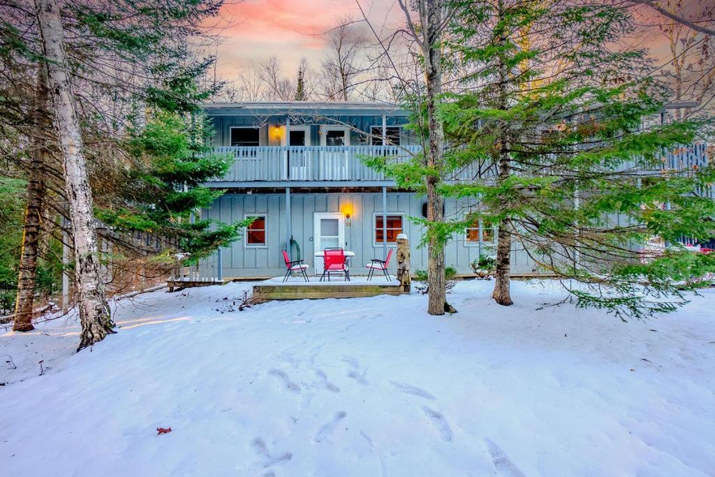 Hidden Gem A Brookside Hideaway 3 Bedroom Cozy Condo 1 Block From Marina Dogs Welcomed Bayfield Buitenkant foto